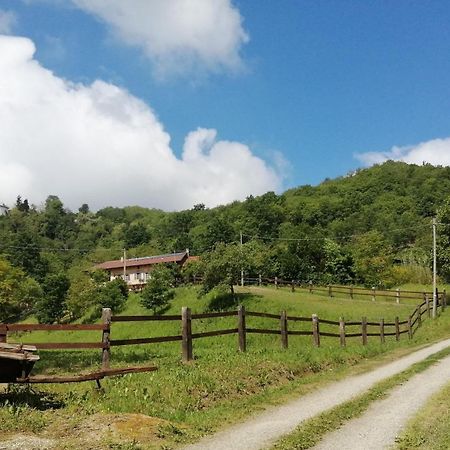 La Casa In Collina Bed and Breakfast Cinzano Εξωτερικό φωτογραφία